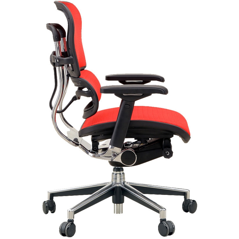 エルゴヒューマンベーシック ロータイプ　美品 Ergohumanエルゴヒューマンベーシックロータイプ/エラスト