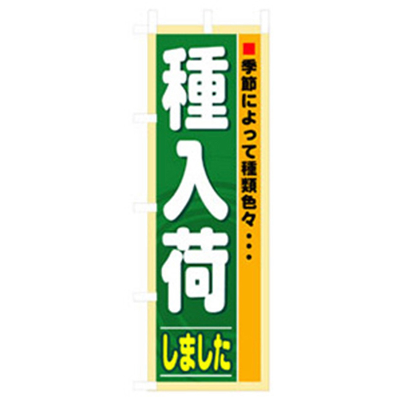 042414 花・木のぼり トレード 種入荷しました 幅600mm高さ1800mm 5,298円