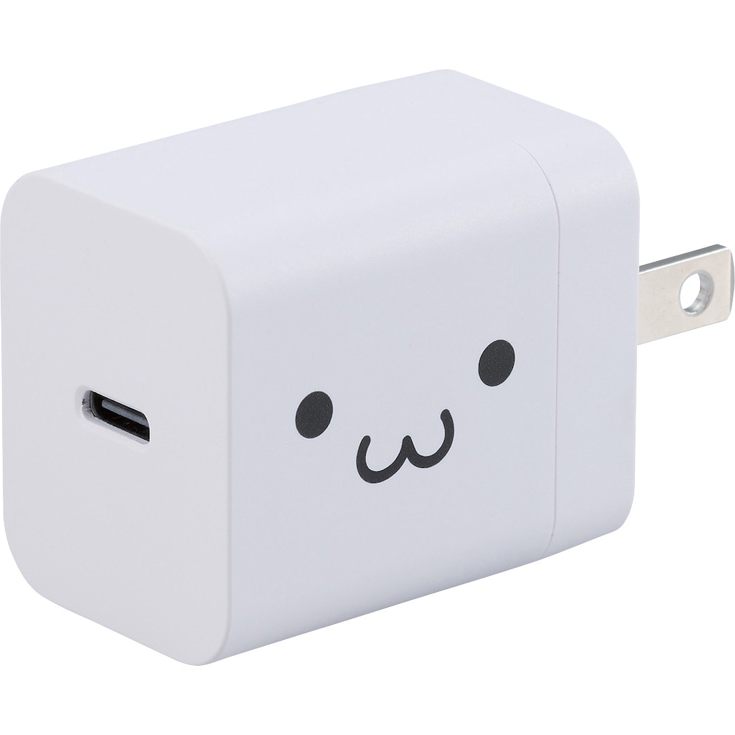 未使用 iPad ホワイト 充電器付き EC-AC6820WF Type-C充電器 PD 20W TypeC×1 折りたたみプラグ 【iPhone