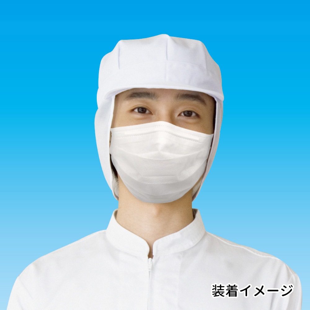 G2W10 美保Bihou 業務用マスク 日本製 2層タイプ 100枚入 エス