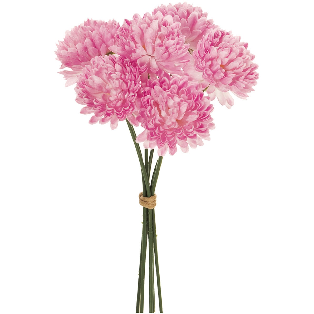 FM000501-050 ベルエマムピック 1束(6本) MAGIQ(東京堂) 【通販