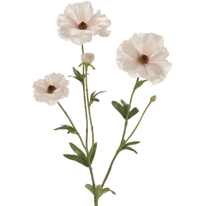 FM004119-048 リュクスラナンキュラス 1本 東京堂 【通販モノタロウ】