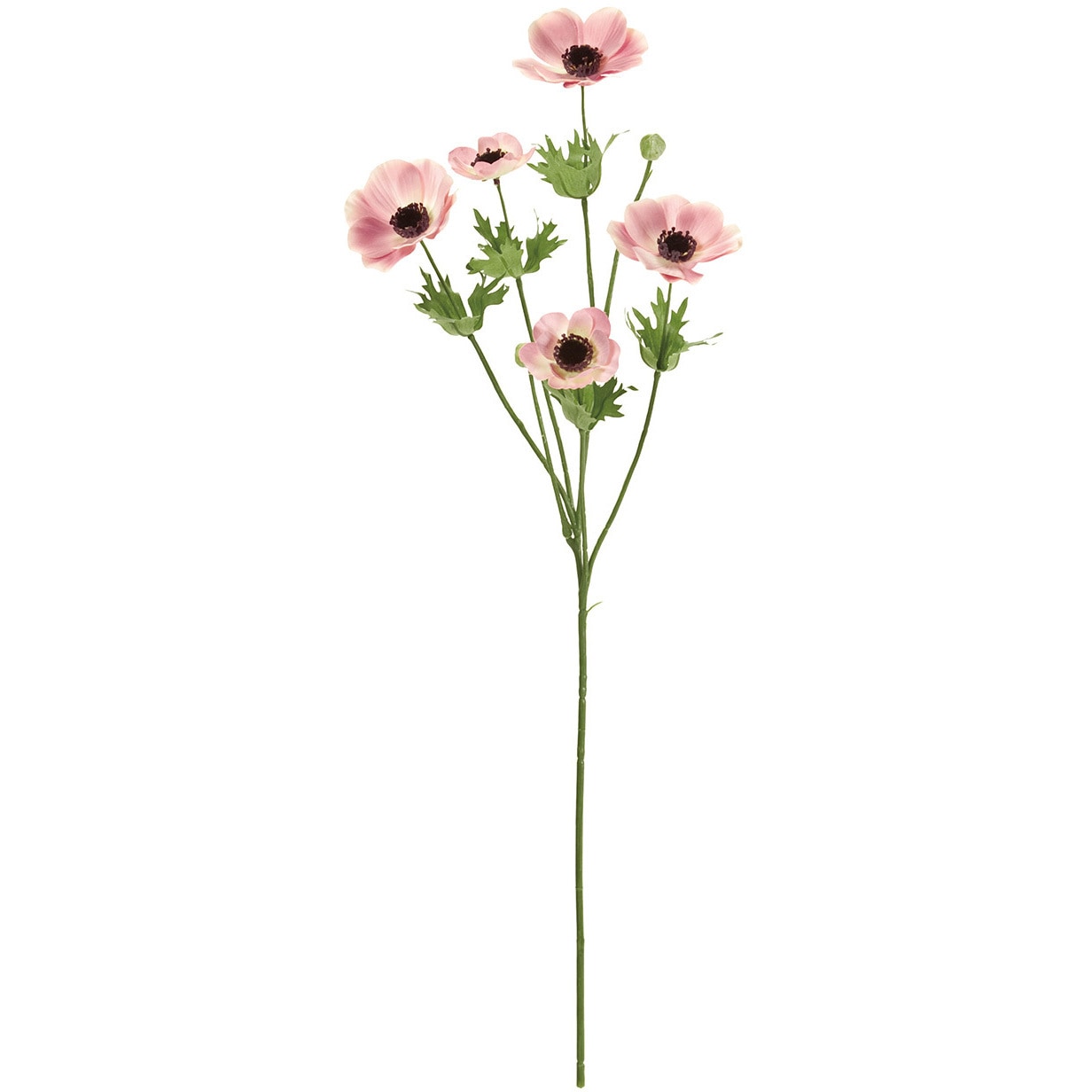 FM004186-002 ブリーズアネモネスプレー 1本 MAGIQ(東京堂) 【通販