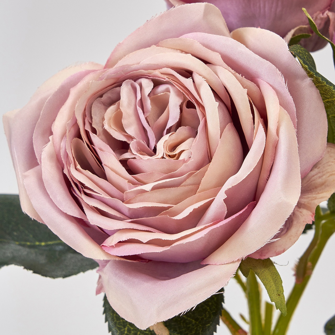 FM009447-042 ヴァーズローズ 1本 MAGIQ(東京堂) 【通販モノタロウ】