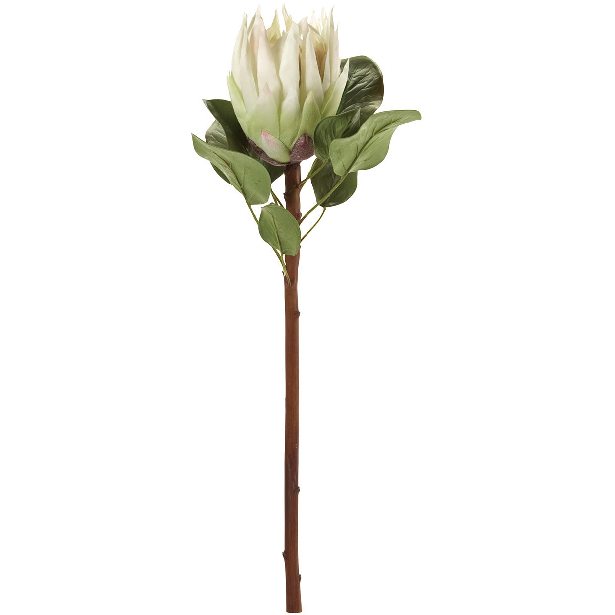 キングプロテア MAGIQ(東京堂) フェイクフラワー 【通販モノタロウ】