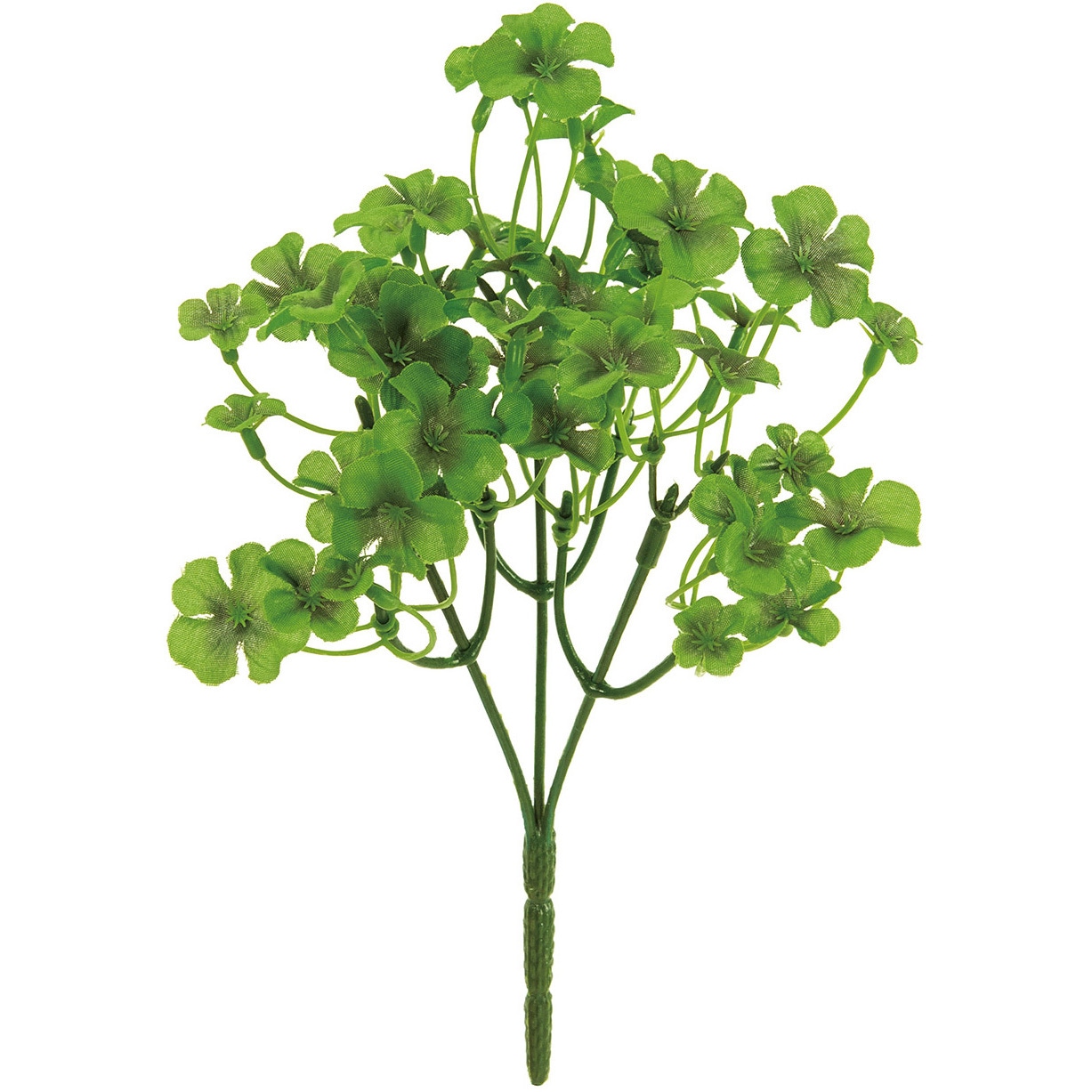 四つ葉のクローバーさん専用.43 FG008198 四葉クローバー 1本 MAGIQ(東京堂) 【通販モノタロウ】