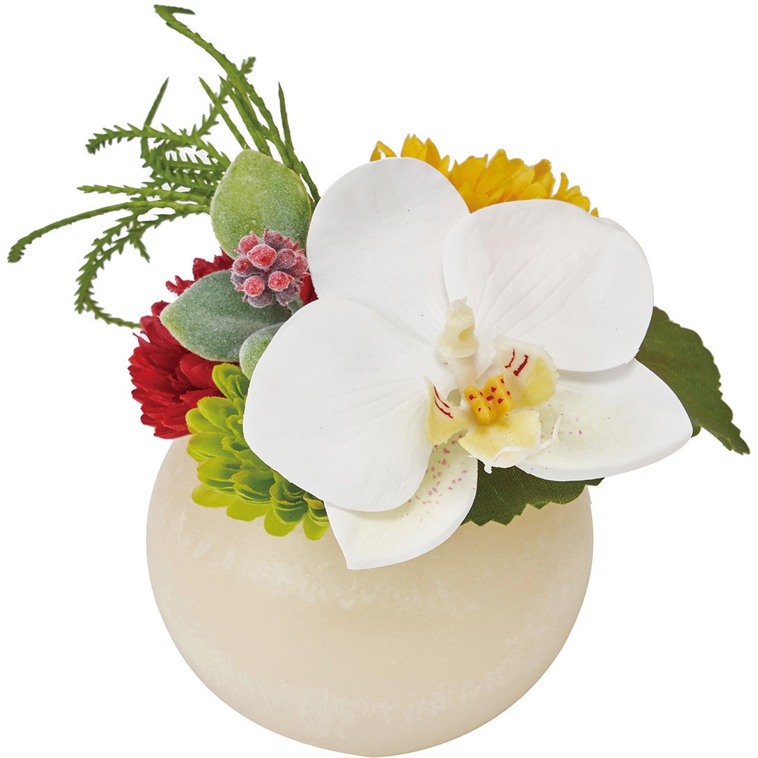 Za トモスボール 胡蝶蘭 東京堂 高さ 13cm Za 1個 通販モノタロウ