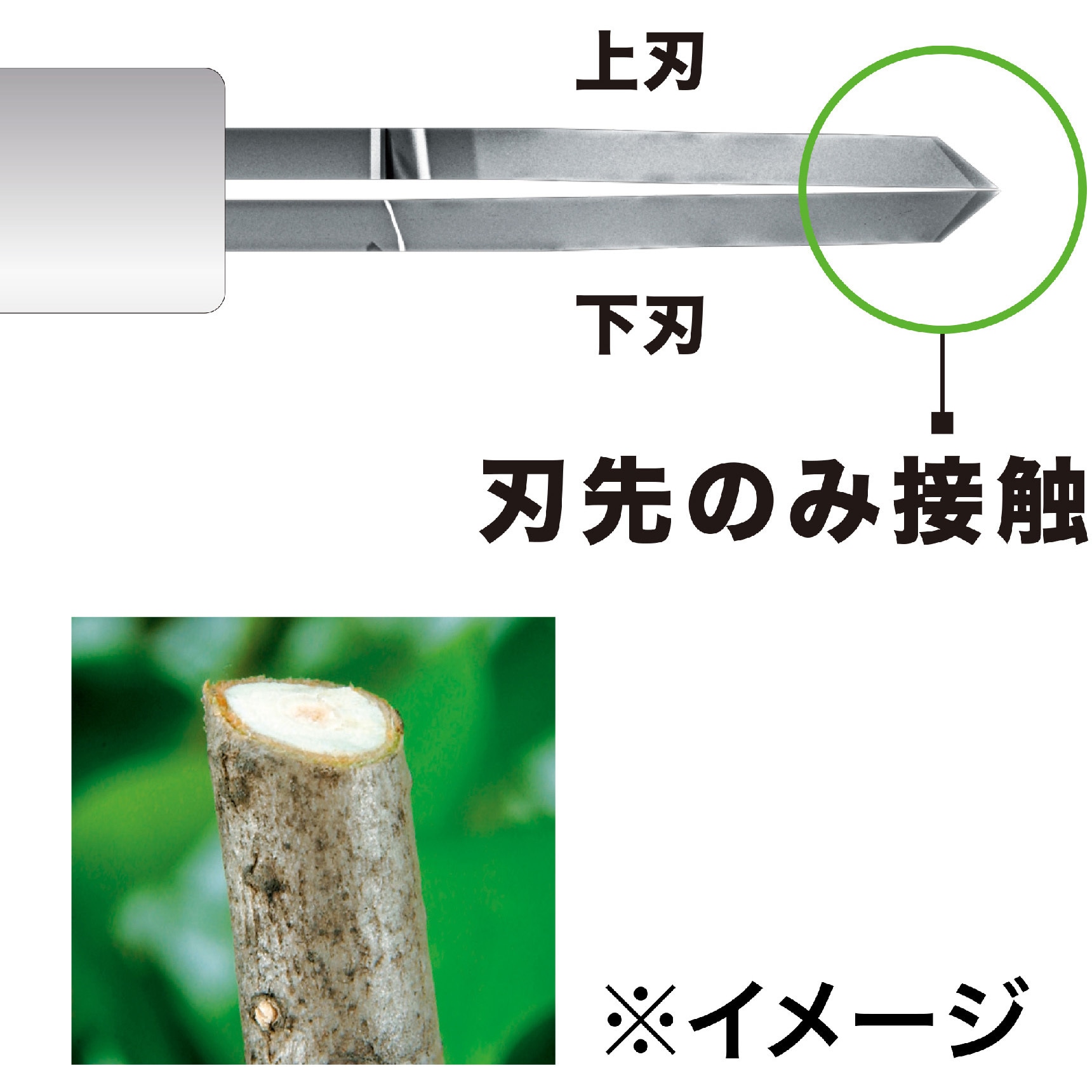 MUN500WDZ 500mm 充電式ポールヘッジトリマ マキタ 本体のみタイプ 質量4.2kg 最大切断径18mm - 【通販モノタロウ】