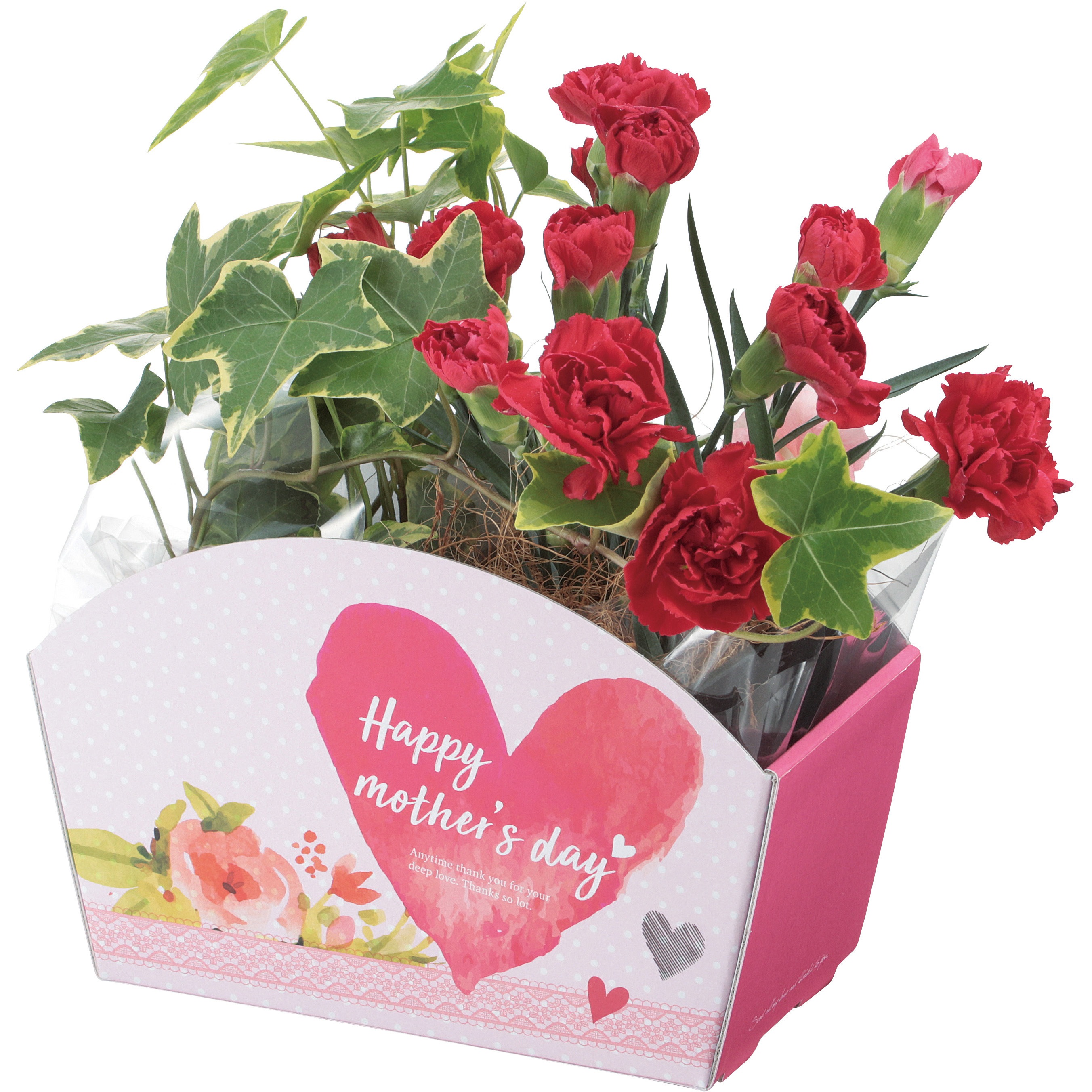 F-454 カラフルバスケット ヤマニパッケージ 組み底式 - 【通販