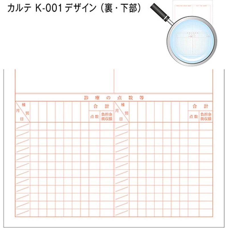 41012-101 カルテ用紙 1号(診療録) 社保 金鵄製作所 サイズA4 1箱(500