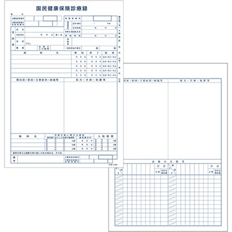 41022-202 カルテ用紙 1号(診療録) 国保 金鵄製作所 サイズB5 1箱(500