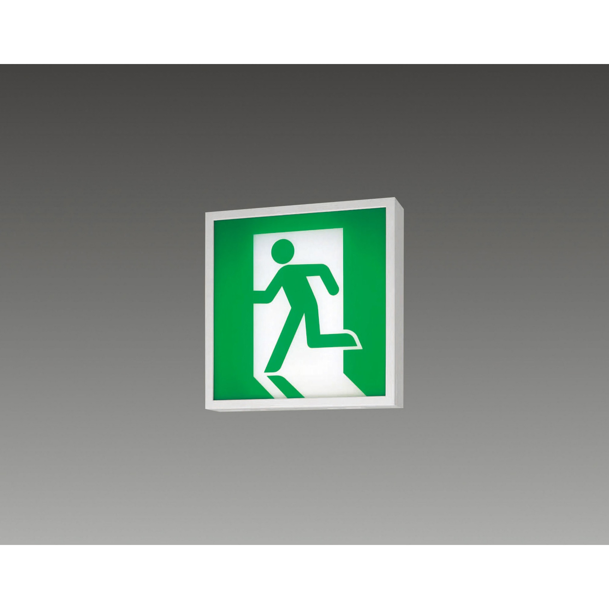 LED誘導灯 避難口　A級　避難経路表示パネル　片面天井壁直付兼用 LED誘導灯 避難口 A級 避難経路表示パネル 片面天井壁直付