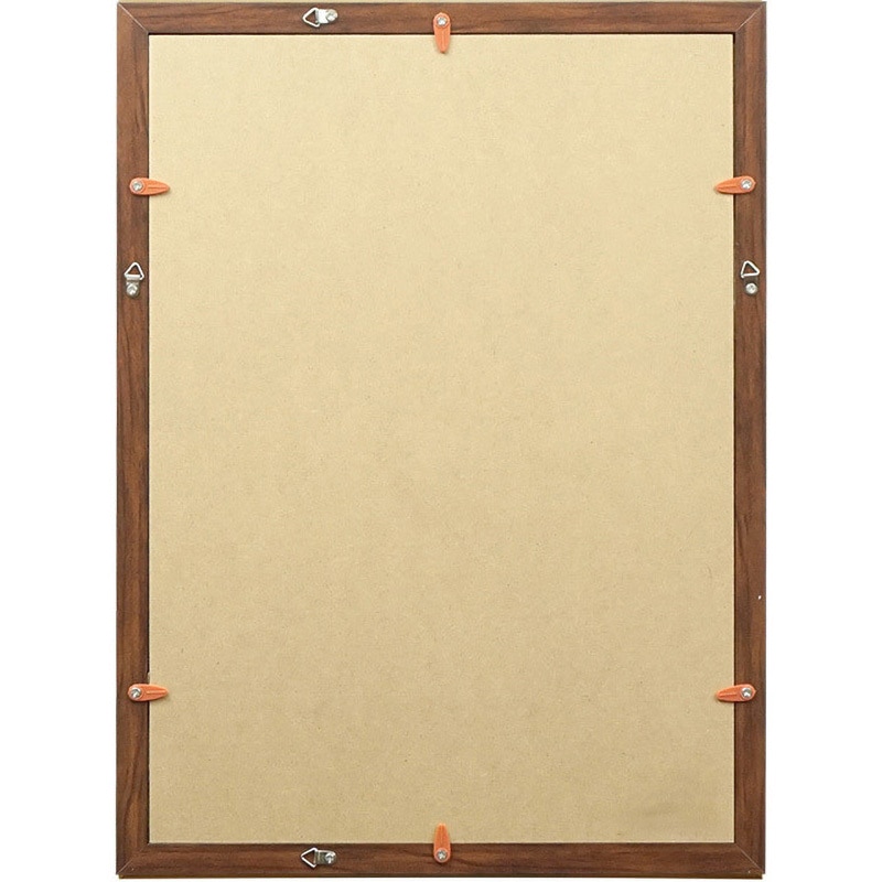 セミの鉛筆画 A4サイズ 艶消しゴールド額装 （賞状額縁 金消し