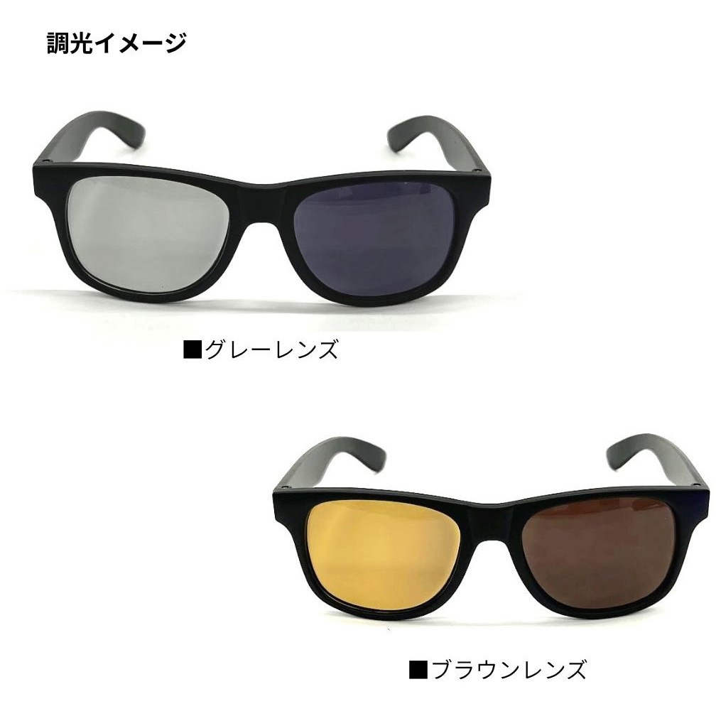 DN-8065H トリアセテート調光偏光グラス DAIWA(ダイワ)[船舶用品・漁業