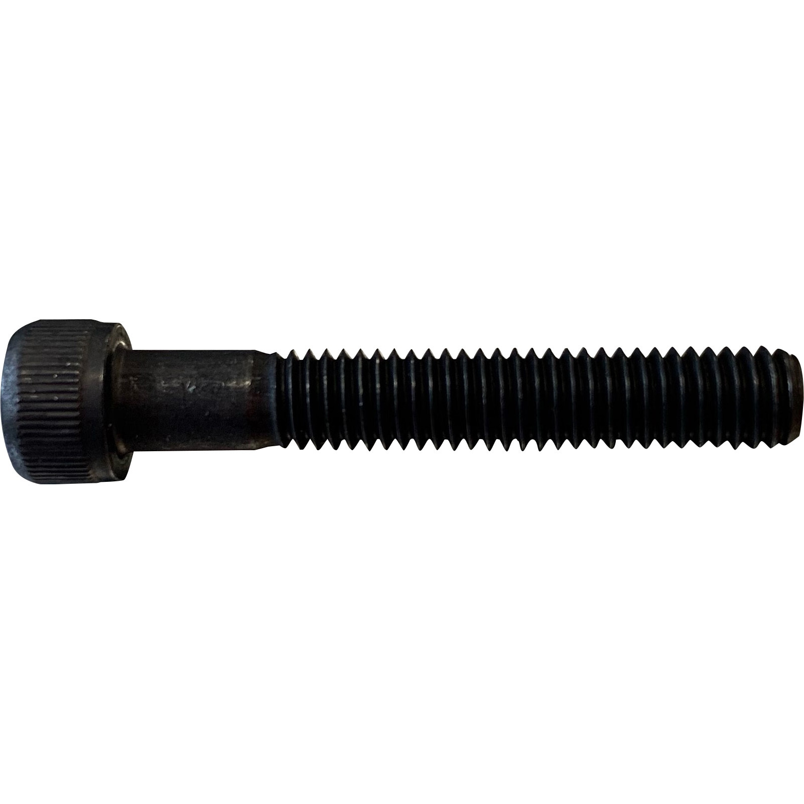 A（4/29迄） CNF-56-1/4-2