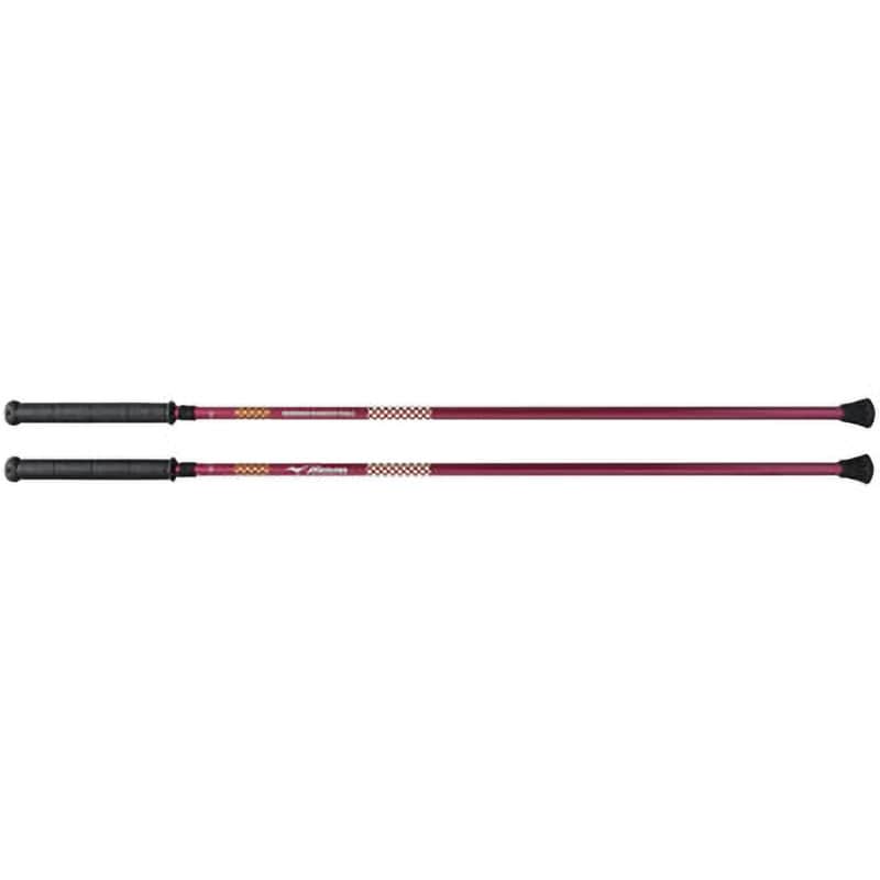 C3JTP73066 マイティポール mizuno(ミズノ) 全長112cm 1組(2本