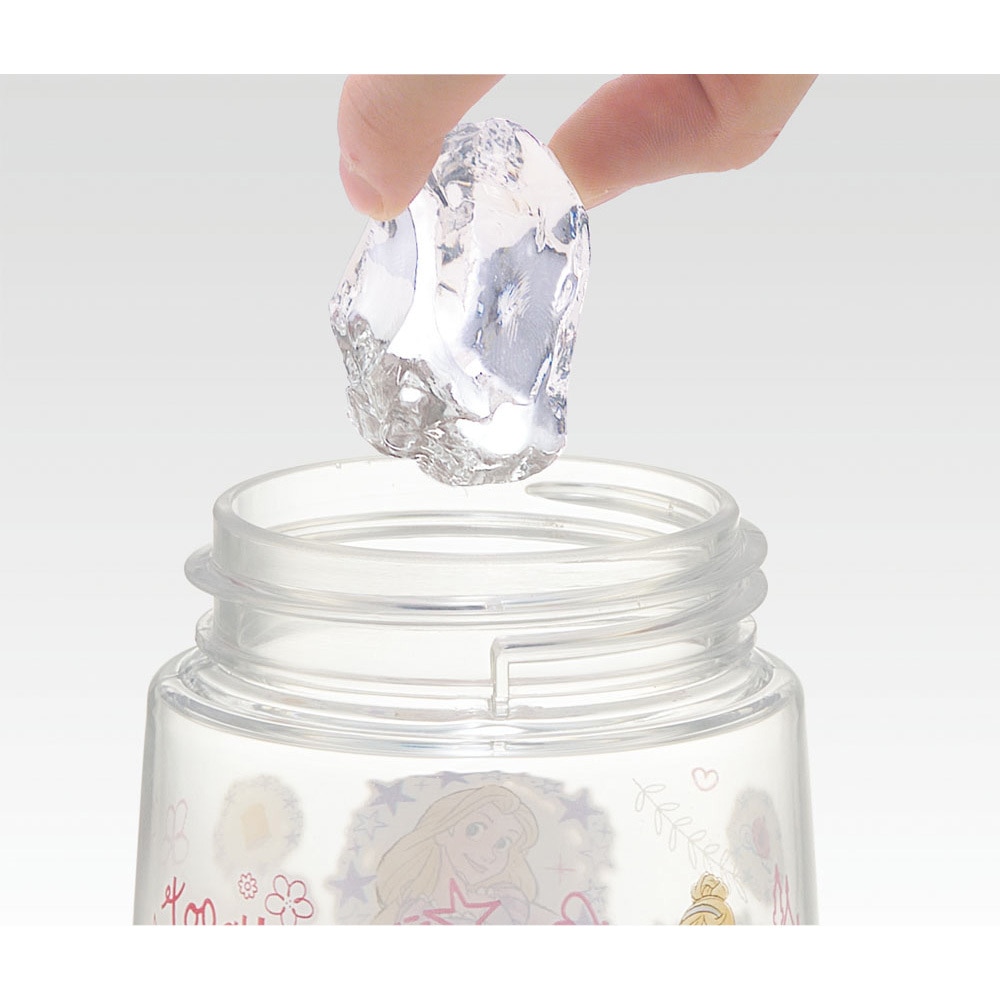 PDSH5 ワンプッシュストローボトル スケーター 容量480mL プリンセス23
