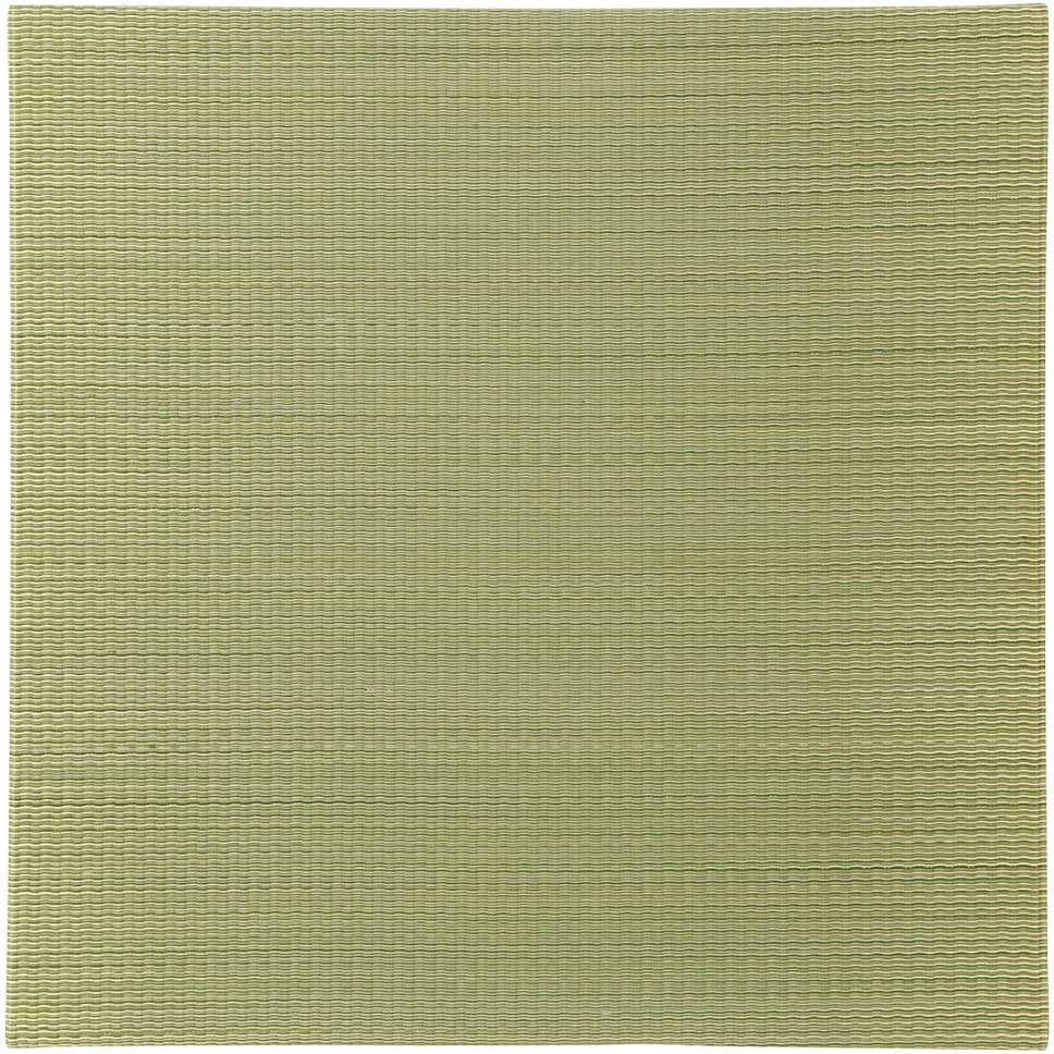 140166702 い草置き畳フラッタ 四季(しき) 萩原 寸法82×82×1.5cm 1組(2枚)