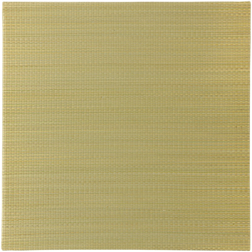 140166703 い草置き畳フラッタ 四季(しき) 萩原 寸法82×82×1.5cm 1組(2枚)