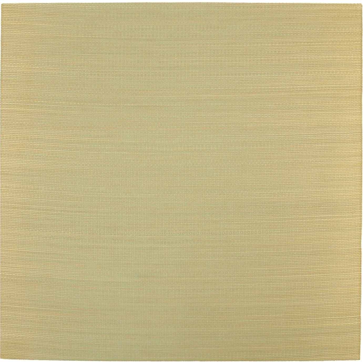 159054795 い草置き畳 紗彩(さや) 萩原 寸法65×65×2.5cm 1組(3枚)