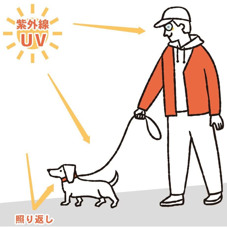 FF-SGXS 犬用サングラス UVカットレンズ Fluke Forest(フルーク
