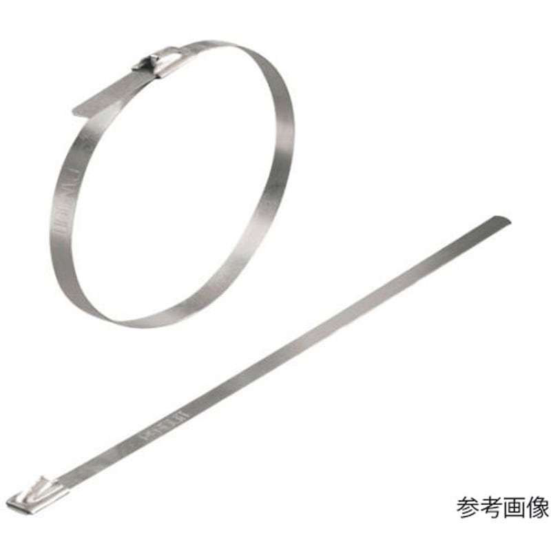 1699940000 ケーブルタイ ステンレスタイプ 1袋(100本) ワイドミュラー 【通販モノタロウ】