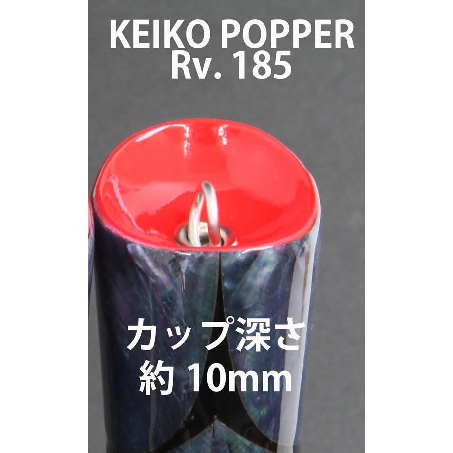 8.ニュージーランド アワビ ケイコオーシャンポッパー185Rv. HOTS