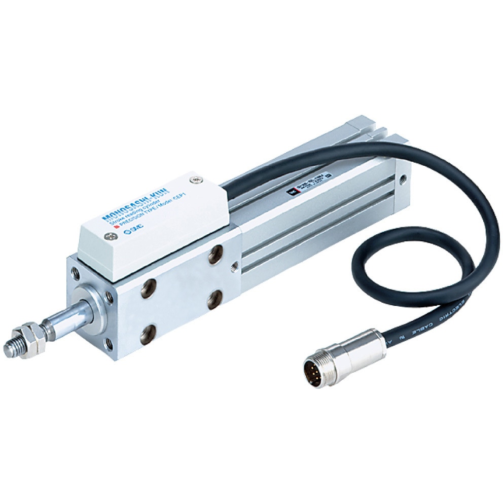 CEP1B12-100L-M9NALS CEP1 - 高精度ものさしくん/ピストン回り止め形 SMC チューブ内径12mmストローク100mm 67,980円