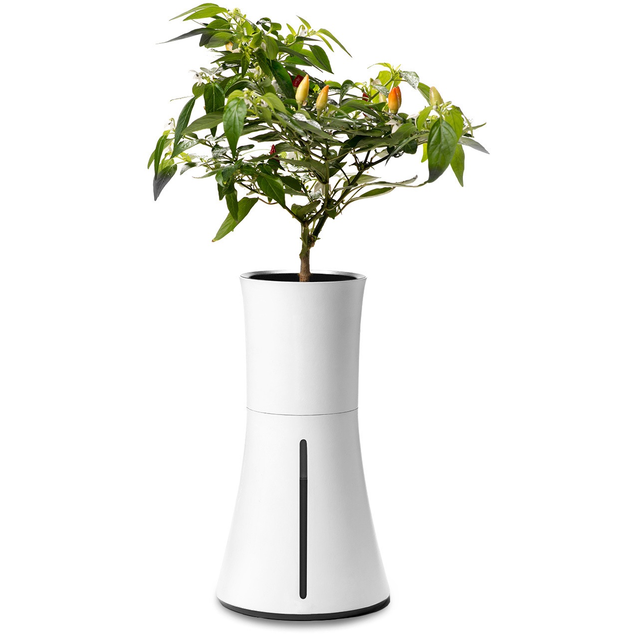 Botanium Gn 自動て 水やり 手間なく育てるスマートフ ランター 1個 Botanium 通販サイトmonotaro