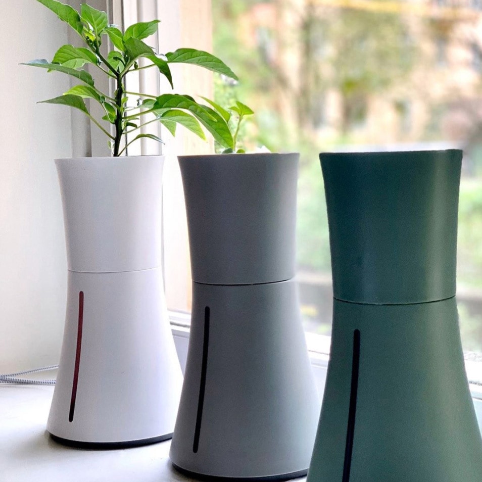 BOTANIZE プランター 未使用 6個セット 楽天市場】【6個セット