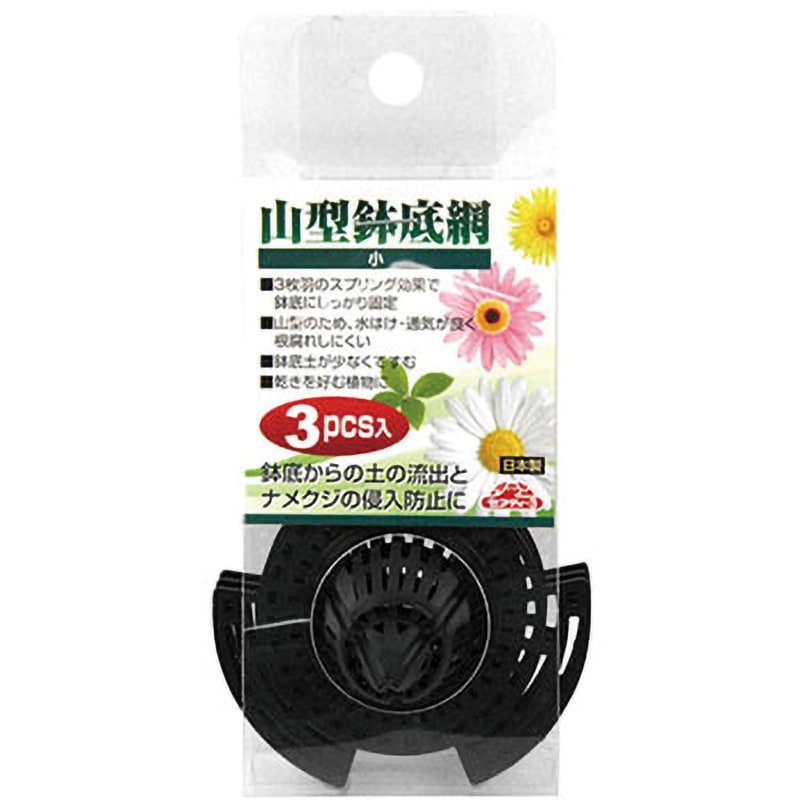 超逸品。山採りヤマコウバシ3.8M(鉢底から) 超逸品。山採りヤマコウバシ3.8M(鉢底から) 超逸品。山採り