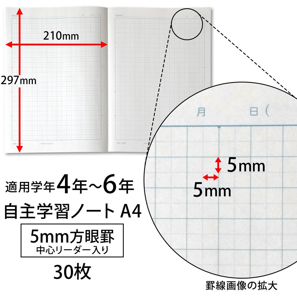 Lpa96 カレッジアニマル学習帳 自主学習ノート 1冊 日本ノート 通販サイトmonotaro