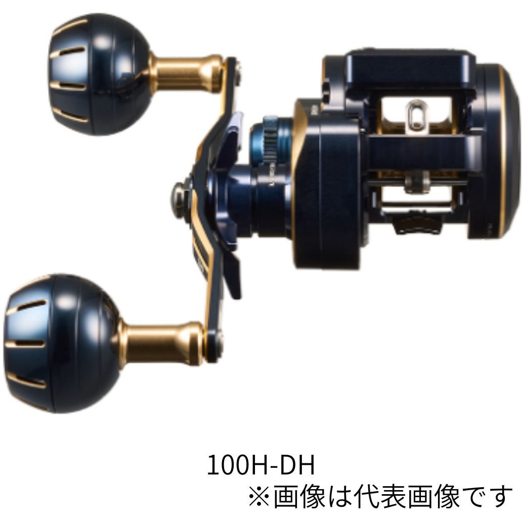 100H-DH 21 ソルティガIC 1個 DAIWA(ダイワ)[船舶用品・漁業資材