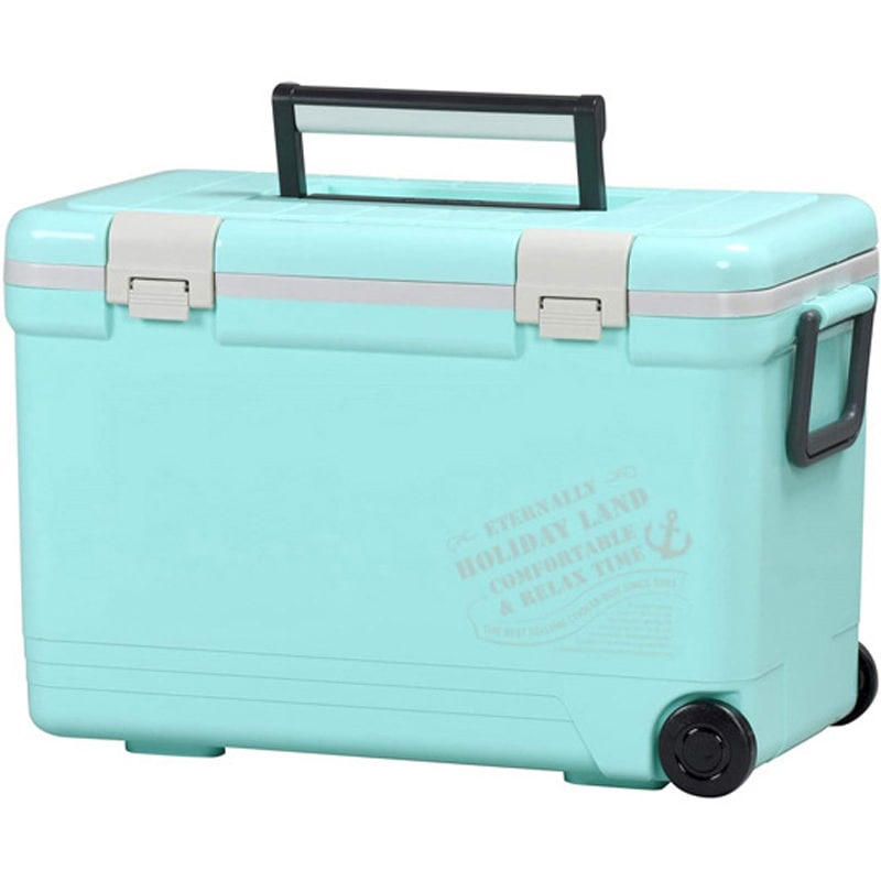 ホリデークーラー ライトブルー 1個 伸和 【通販モノタロウ】 6,698円