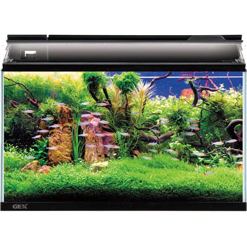 MAR45 アクアリウム飼育用具セット ジェックス 寸法455×305×302mm 1個