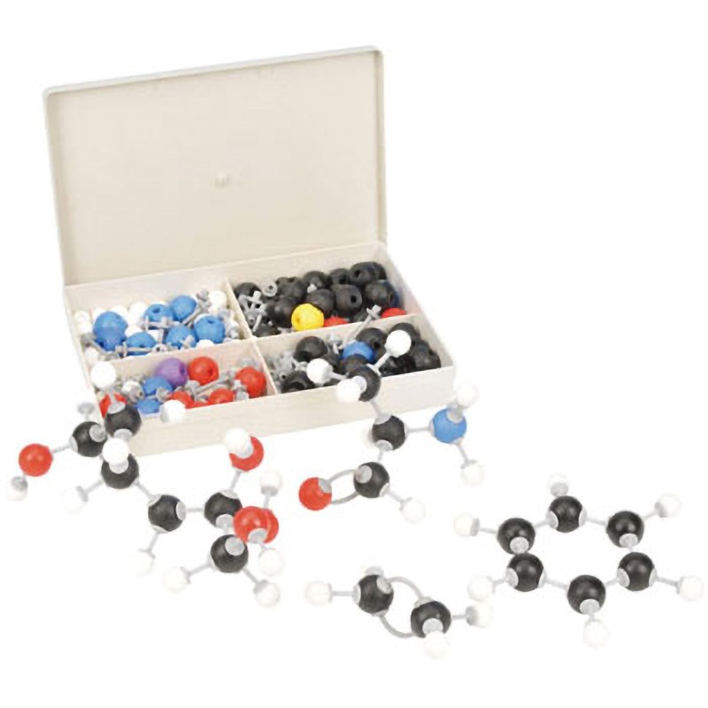 分子生物学 生化学 セット クジラ様専用】集中講義 生理学・分子細胞