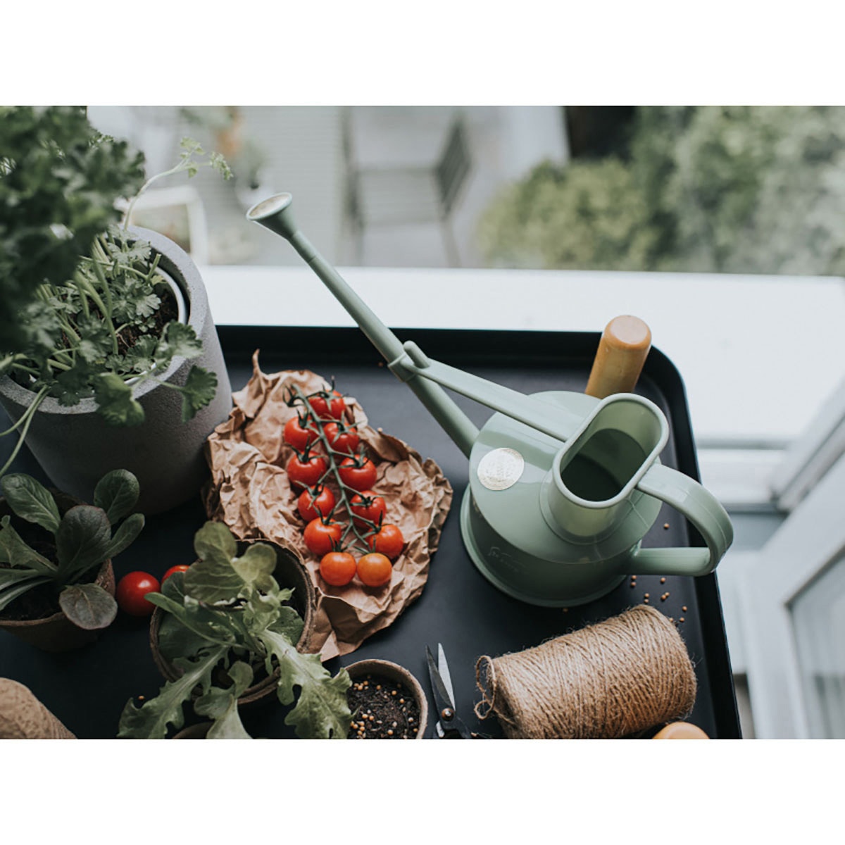 00109 Handy Indoor ジョウロ ガーデニング 0.7L 5色展開 1個 Haws