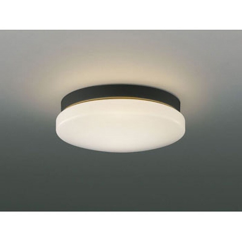 AU45016L コイズミ 軒下用シーリングライト LED（電球色） - 屋外照明