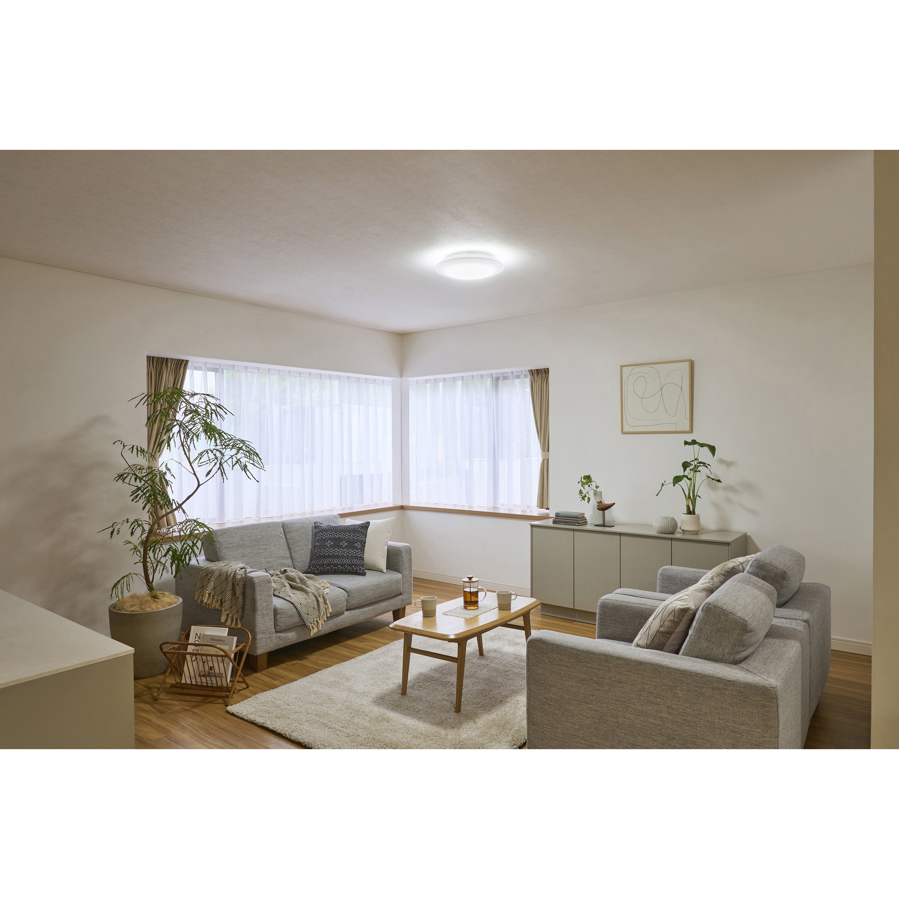 CEA6D-5.0Q LEDシーリングライト Qシリーズ 調光(6畳 8畳 12畳