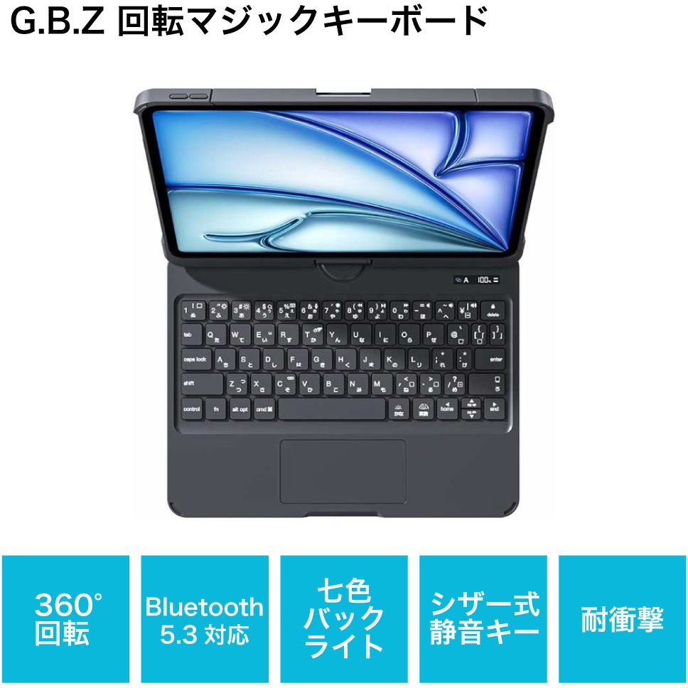 RWIPJP287 iPad用 キーボードケース G.B.Z 質量790g ブラック色 寸法