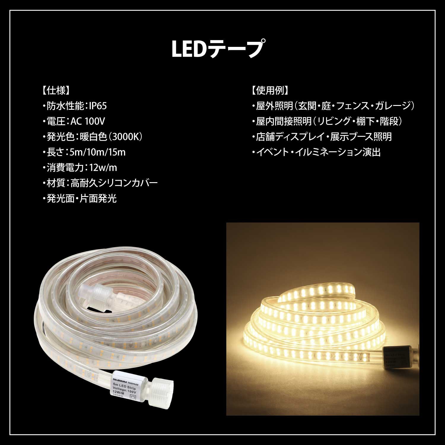 TAKE-190 100v 屋内外専用LEDテープライト 竹村商会 長さ10m TAKE-190