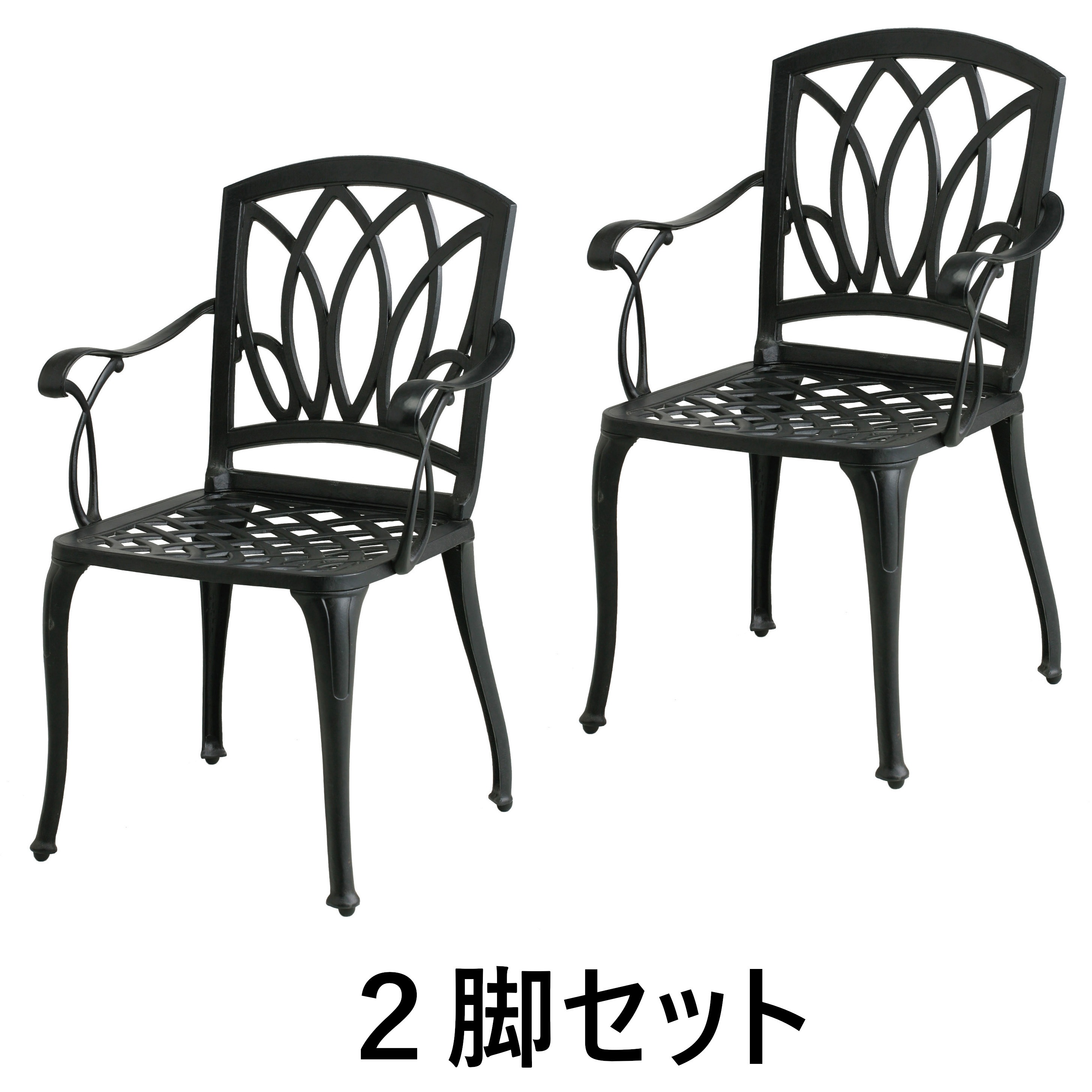 GSTY-12C/2S アルカウン チェアー 2脚セット 1セット(2脚) タカショー 【通販モノタロウ】