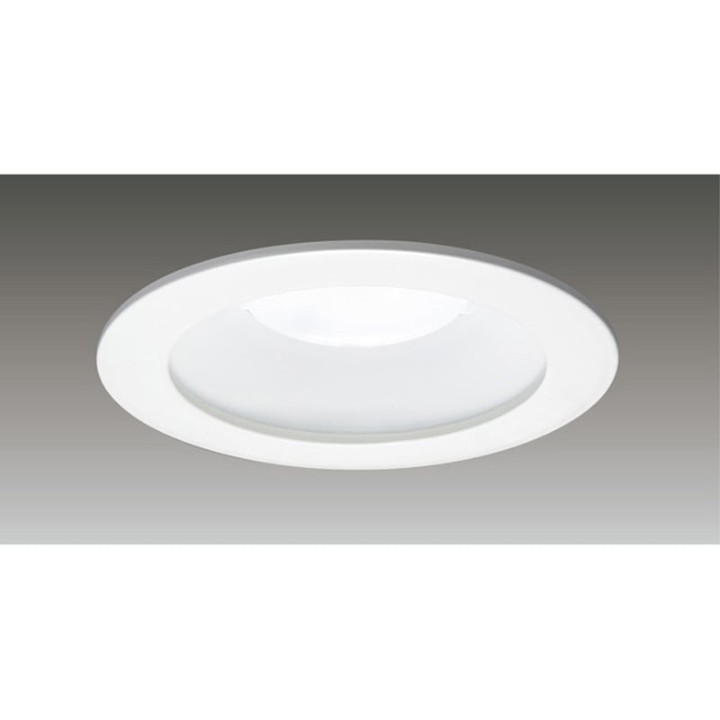 LEKD202925WW-LD9 2000ユニット交換形ダウンライト軒下用 東芝