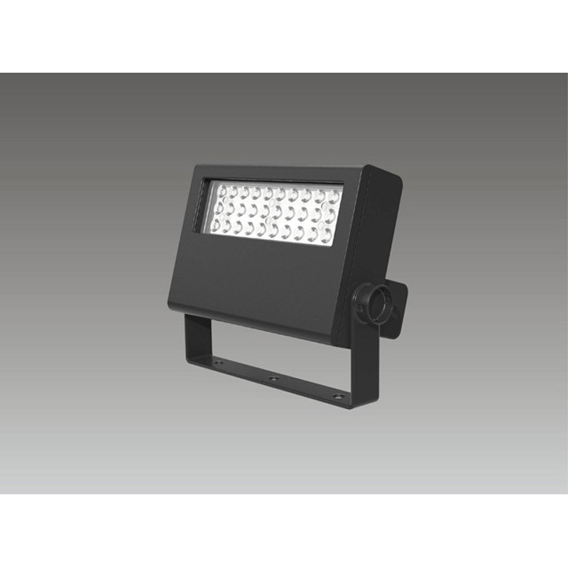 LEDS-06909NF-LS9 LED投光器重耐塩仕様 東芝ライテック 質量3.3kg 本体 