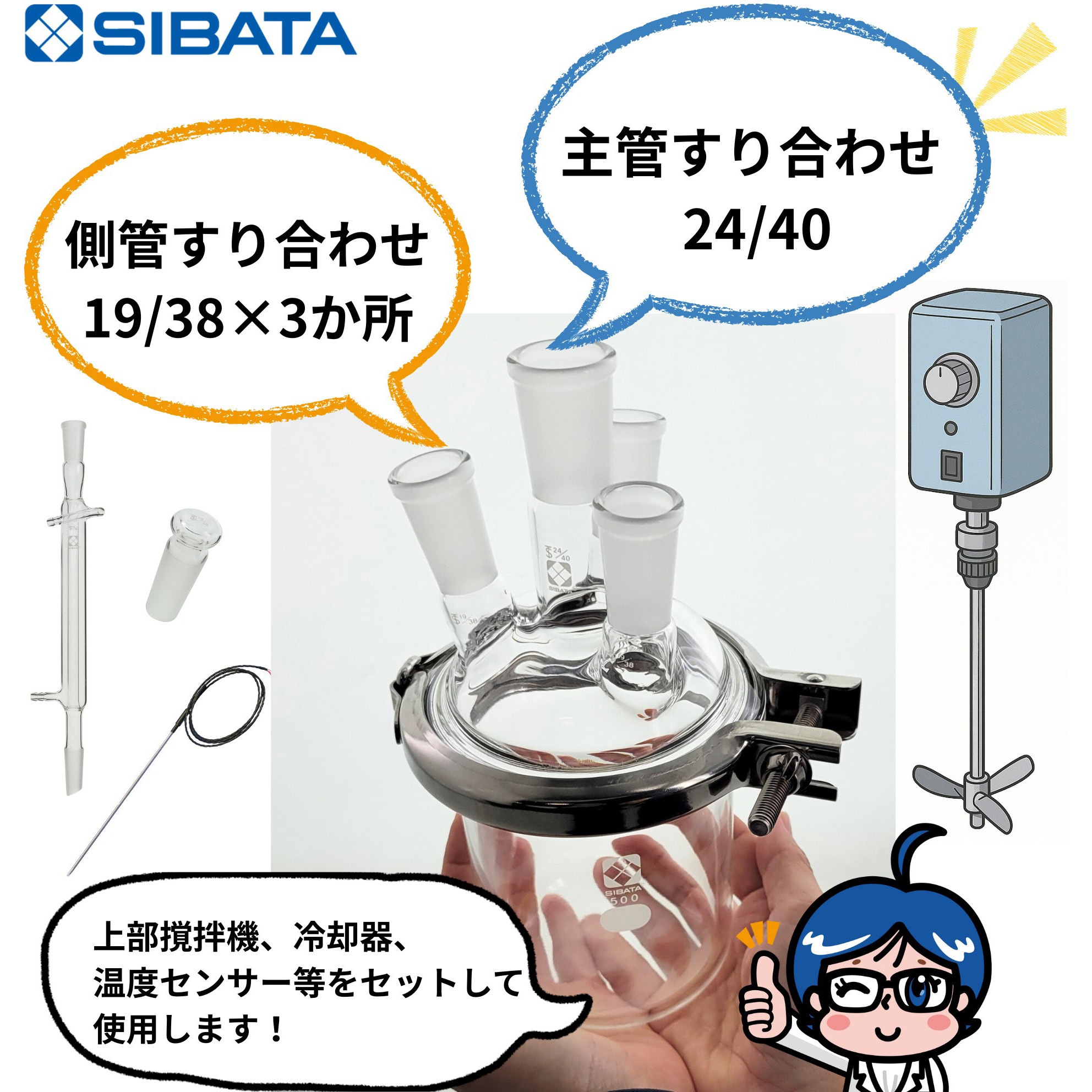 005800-101000 セパラブルフラスコOリングタイプ 1セット SIBATA(柴田