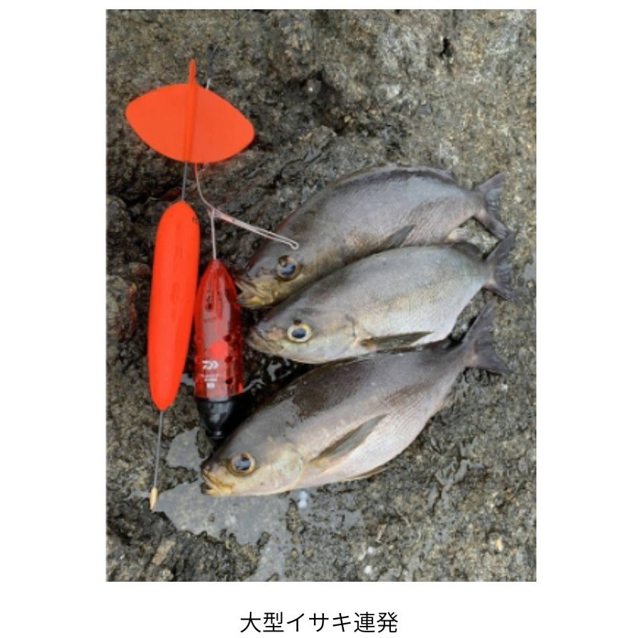 Sサイズ(615771) ジェットライナー カゴ遠投 天秤付き DAIWA(ダイワ