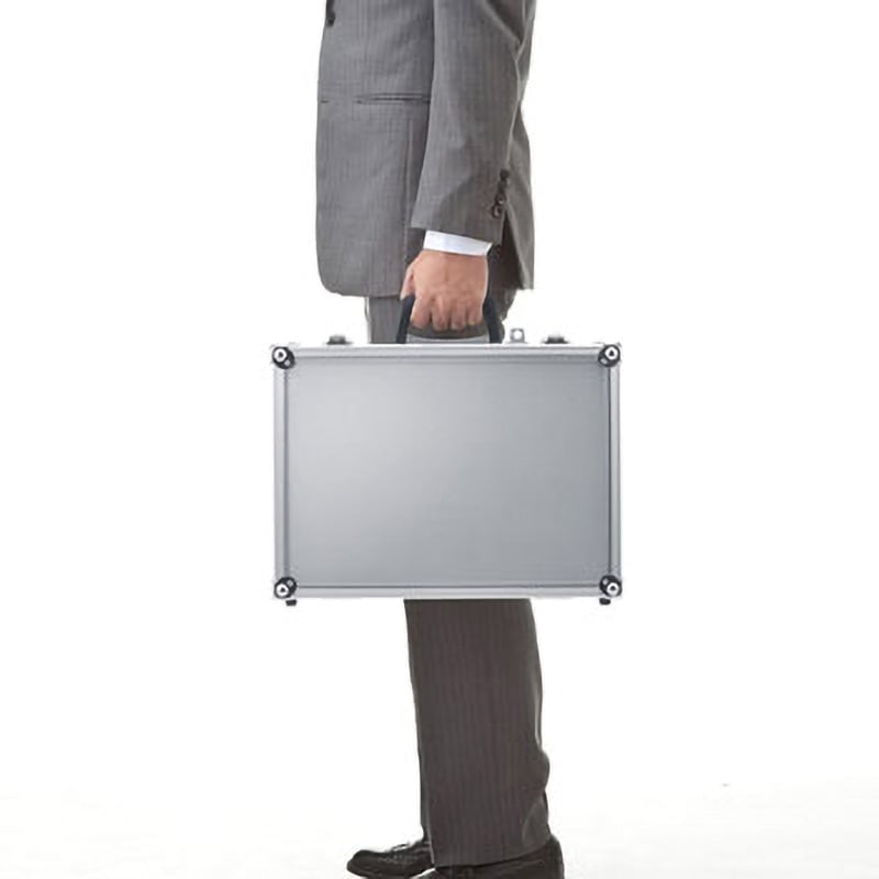 BAG-AL5SL セキュリティ対応アルミケース 1個 サンワサプライ 【通販