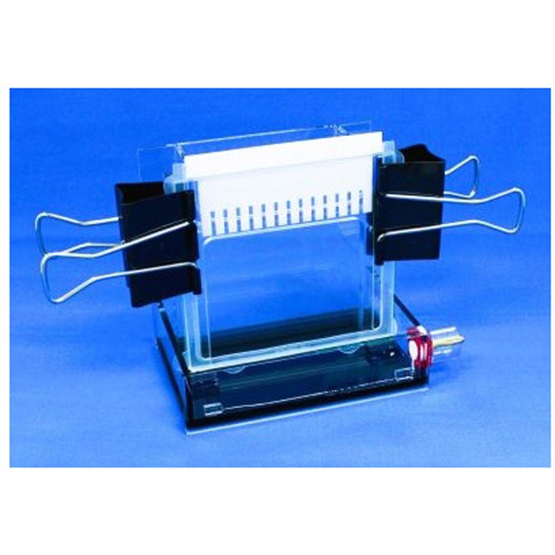 BE-211G ミニゲルスラブ電気泳動装置 BEシリーズ バイオクラフト 1台 BE-211G