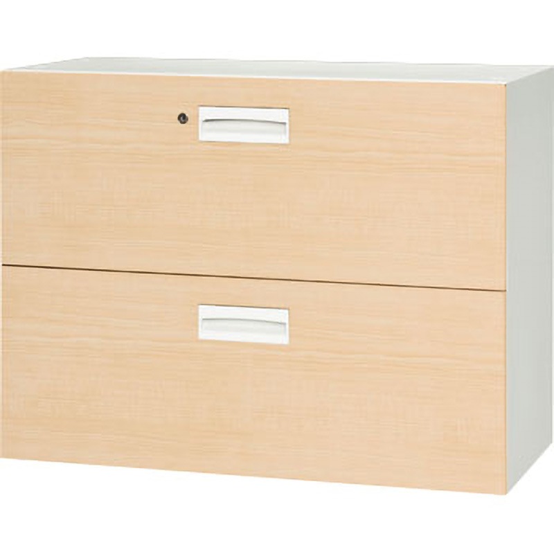 V945-207MD 壁面収納庫 2段引出型 ダイシン 耐荷重50kg 高さ690mm間口900mm奥行450mm  V945-207MD 76,890円