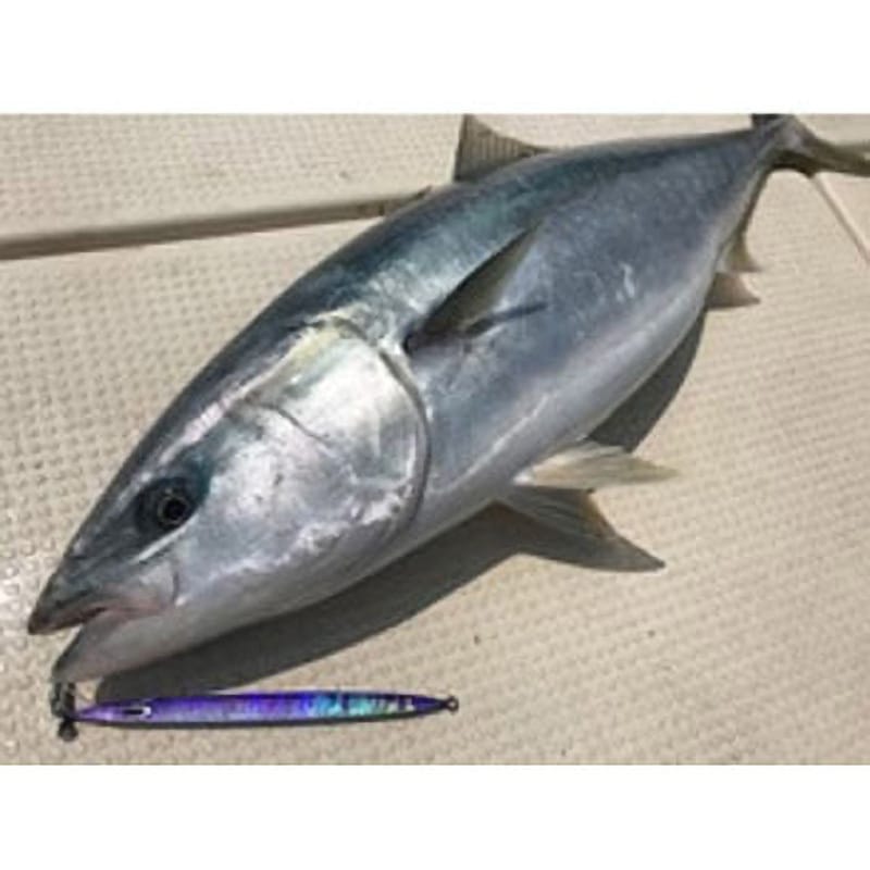 ネイチャーボーイズ スイムライダー 鉄ジグ 120g 4本セット シルバー